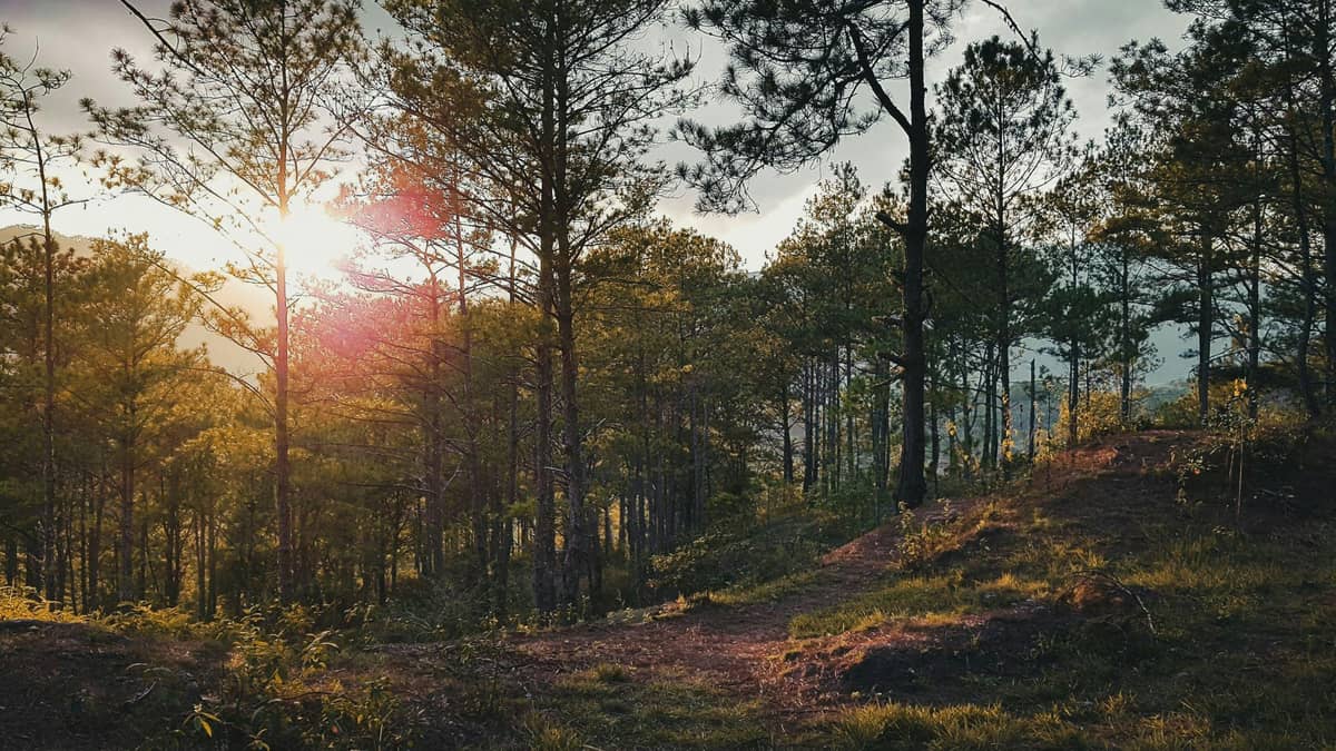 Sagada – Mystic Mountain Retreat